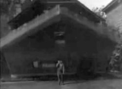 Buster Keaton - Steamboat Bill Jr